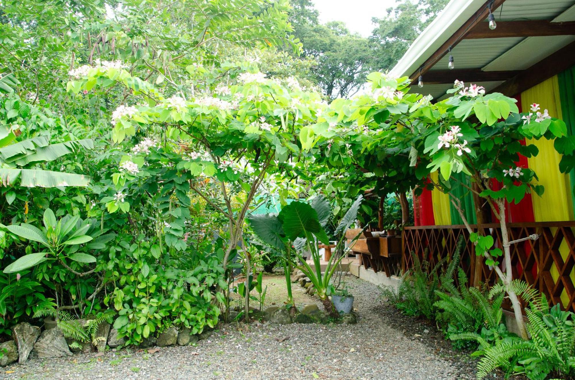 Colibri Ecolodge 3 Minutes Walk To Beach And Town Puerto Viejo de Talamanca 外观 照片